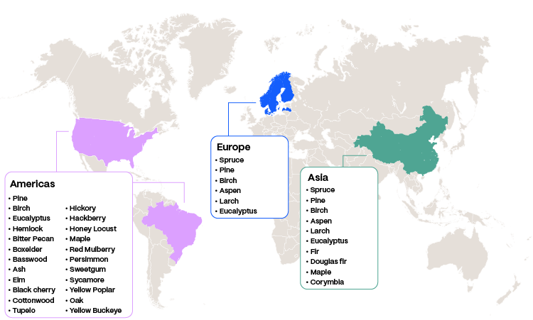 Tree species (Map)